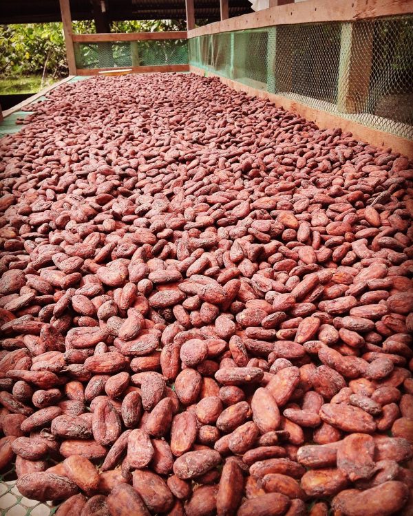 our operations