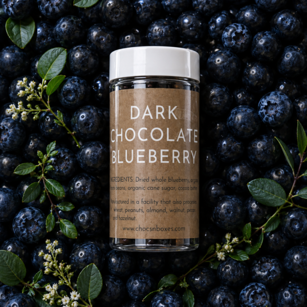 Dark Chocolate Blueberry Dragees · 120g