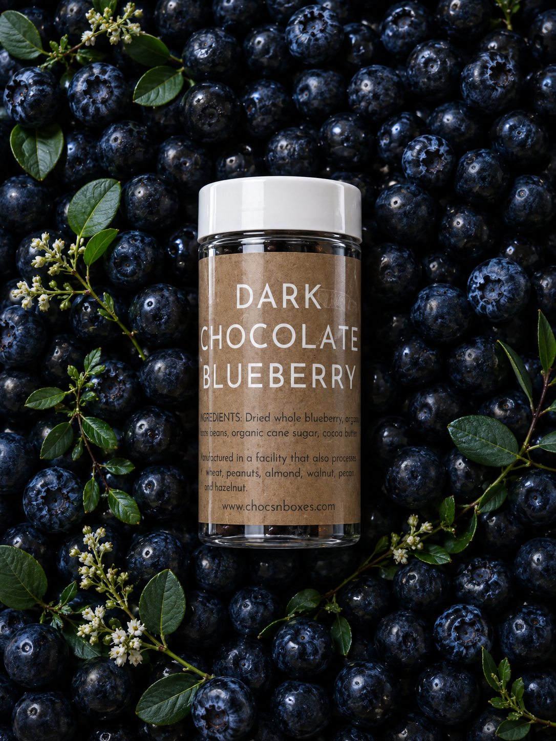 Dark Chocolate Blueberry Dragees · 120g