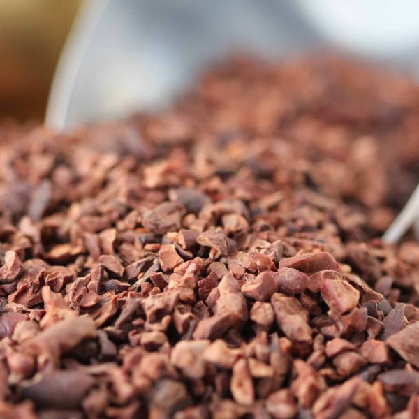 Cacao Nibs