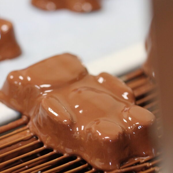 Chocolate Bear
